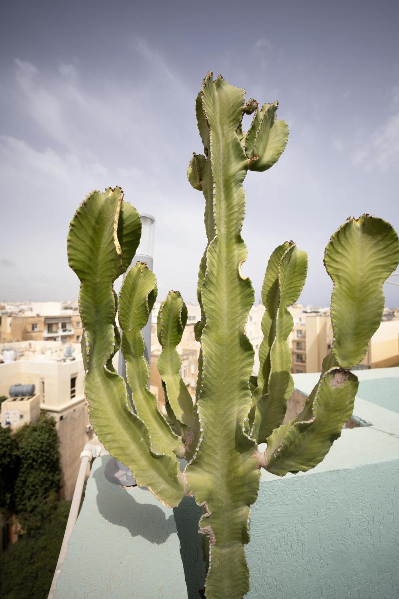 Beautiful Penthouse, Sun Terrace, Jacuzzi Goslm-8 Appartement